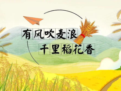 携手共耕，感恩同行：致敬种地吧的禾伙人与合伙人